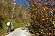 13 Salendo la strada agrosilvopastorale